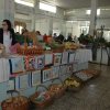 moda_antiga_out_2013 045